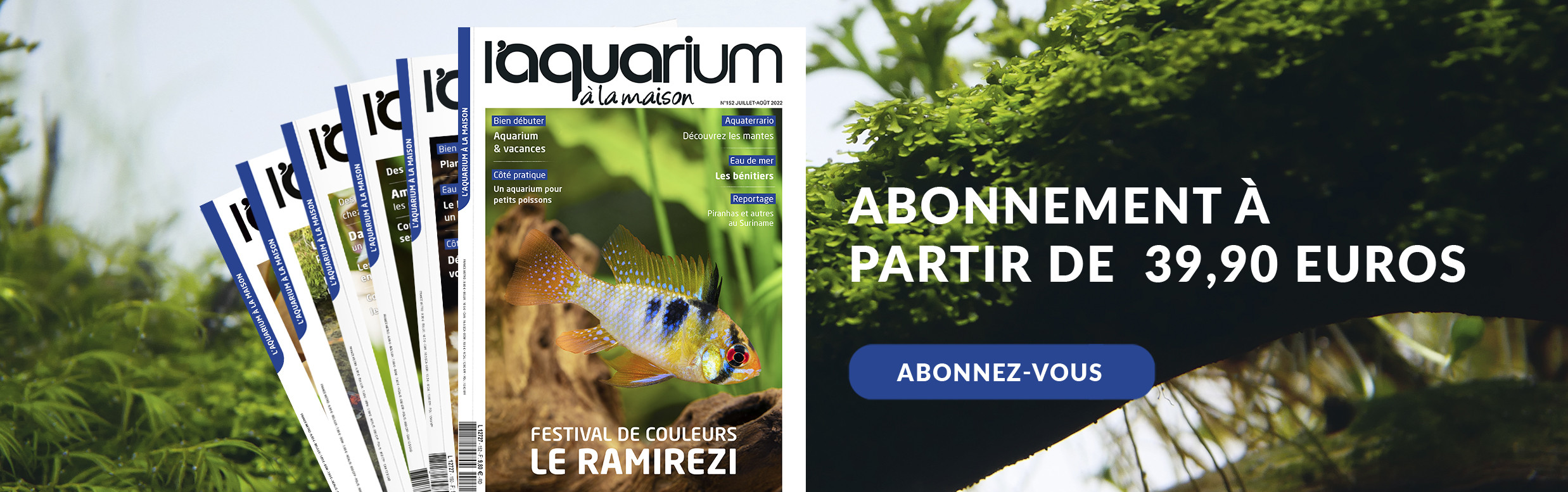 Abonnement à l'aquarium à la maison