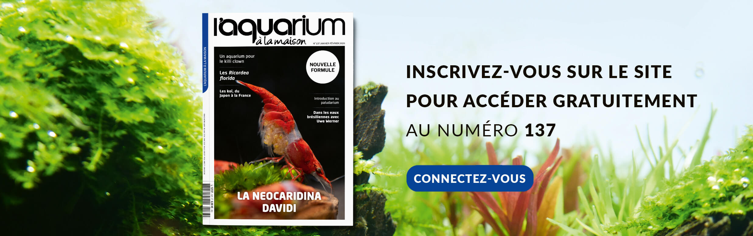 Découvrez le Numéro 137 du magazine, le premier dans sa nouvelle formule ! Bonne lecture !