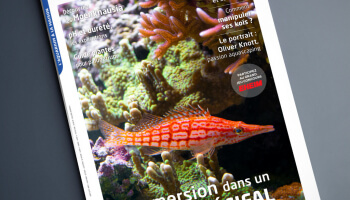 Aquarium à la maison 142 : il arrive !