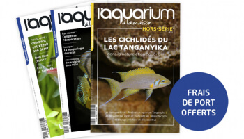 Frais de port offerts sur les magazines !