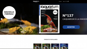Notre site fait peau neuve !