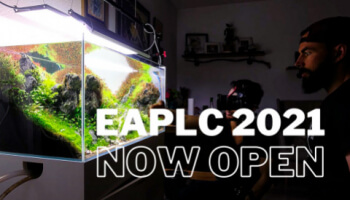 EAPLC 2021 -  European Aquascaping Plants Layout Contest