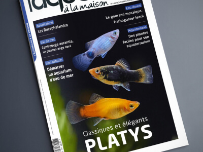 Sommaire de L'aquarium à la maison n°148