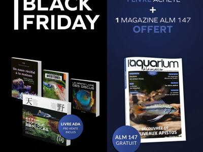 Non pas une, mais 4 offres pour le Black Friday !
