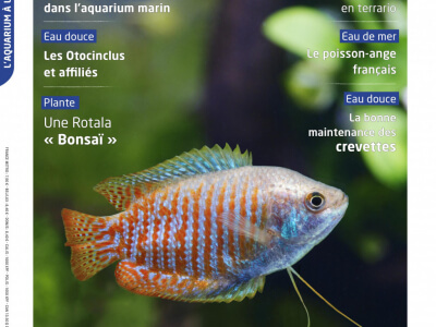 L'aquarium à la maison 149 est là ! 