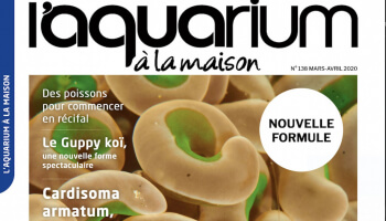 L'Aquarium à la maison 138 est arrivé.