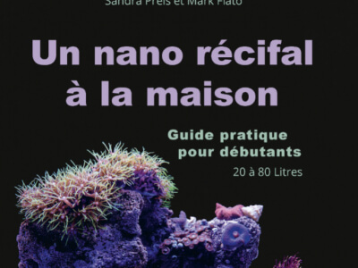 Un nano récifal à la maison - Guide pratique pour débutant (20 à 80 litres)