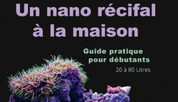 Un nano récifal à la maison