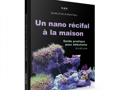 Un nano récifal à la maison