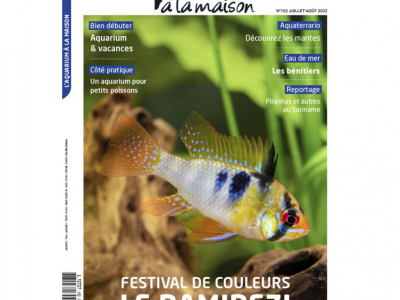 ALM 152, notre couverture