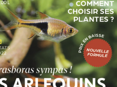 Un point sur le n°154