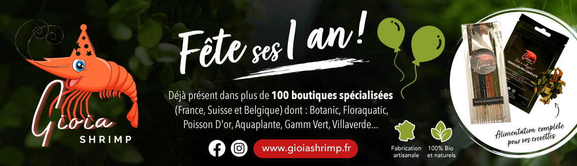 https://www.gioiashrimp.fr