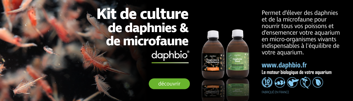 Daphbio l'équilibre biologique de votre aquarium